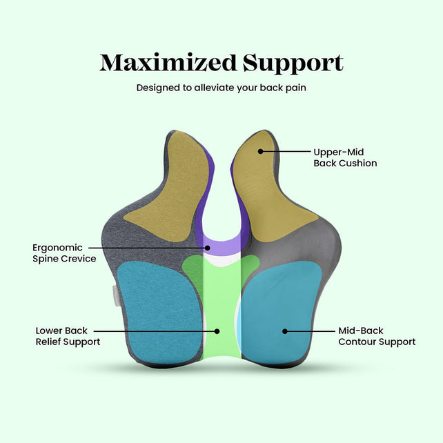 The visual representation showcases the Fine Foams Majesty Lumbar Support, highlighting its three key components: a removable cover, a breathable liner, and the innovative ProFoam Technology.